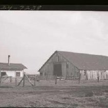 Negative, Safety, unknown