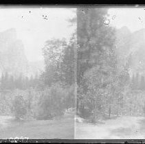 Negative, Glass Plate