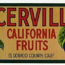 Placerville California Fruits