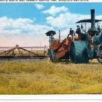 Harvesting Scene, San Joaquin County near Stockton, California