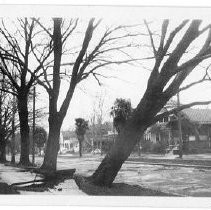 Windstorm of 1938