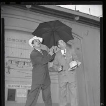 Negative, Safety, Unknown