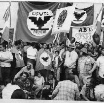 UFW protest — Calisphere