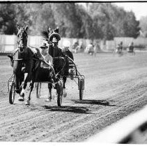 View of harness racing at Cal Expo