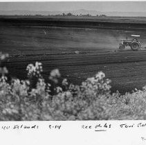 Tractor in Field