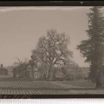 Negative, Safety, unknown