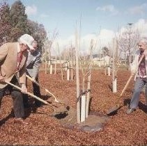 Walerga Park Cherry Blossom Tree Grove Dedication: Memorial planting of the Trees