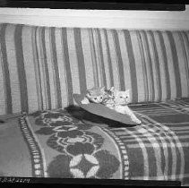 Negative, Safety, Unknown