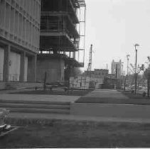 Negative, Safety, Unknown