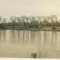 Sacramento riverbank