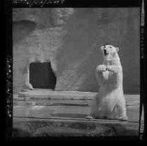 Negative, Safety, Unknown