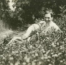 Bovey in flower bed