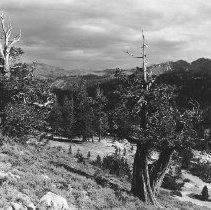 Mountain Scene