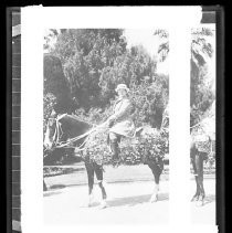 Negative, Glass Plate