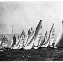 Sailboats on the Bay