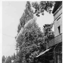 "Papeete in Action, Columbia, Calif." Postcard showing hand pump fire truck in action