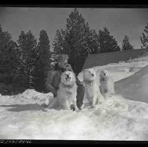 Negative, Safety, Unknown