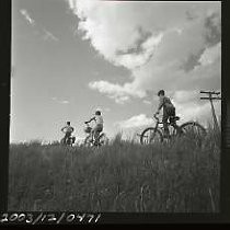 Negative, Safety, Unknown