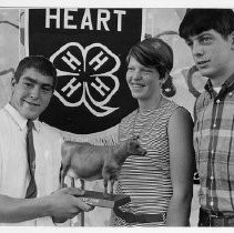 View of the three winners of the 4h Showmanship awards, left to right: Carl Perry, Dairy Division, Debbie Rutherford, Swine Division, and Mark Rynearson, Sheep Division at the California State Fair. This was the last fair held at the old fair grounds