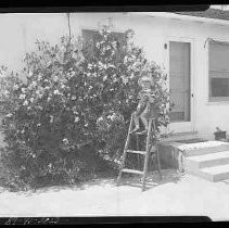A girl with sweetpeas