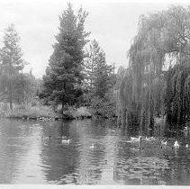 McKinley Lake Sacto