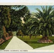 View in Capitol Grounds, Sacramento, California