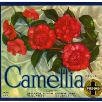 Camellia Brand