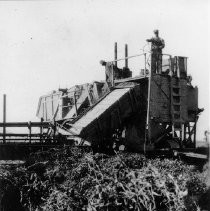 "Bean Harvester"