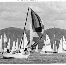 Sailboats on Folsom Lake