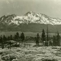 Mountain Scene