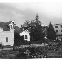 Houses and apartment building