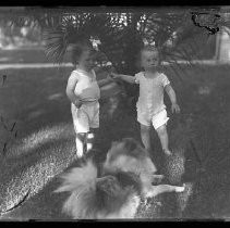 Negative, Glass Plate