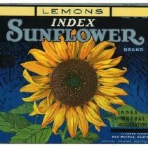 Sunflower Brand