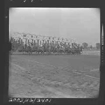 Negative, Safety, Unknown