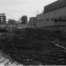 Negative, Safety, Unknown