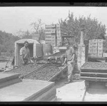 Drying fruit