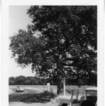 Grand Ave and Roseville Rd