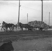 Wagon pulled by mules