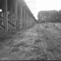 Bridge Construction