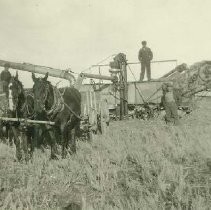 Farm machinery in Dixon