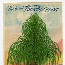 Great Decorative Fountin Plant