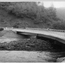 Flood Debris Piled Up Under Bridge