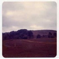 Photographs of landscape of Bolinas Bay