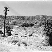 View of the Anza-Barrego Desert State Park