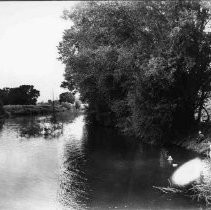 Swimming in a River