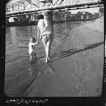 Negative, Safety, Unknown