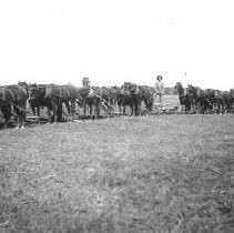 Ranch Hands and Horse-drawn Farm Equipment