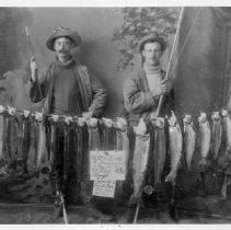 Photographs from Wild Legacy Book. Photograph, 19 steelhead trout on Russian River, Oct. 1897