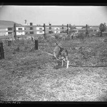 Negative, Safety, Unknown