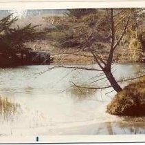 Photographs of landscape of Bolinas Bay. Bolinas Lagoon